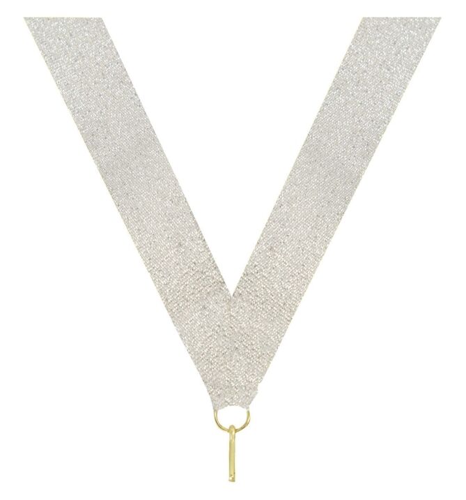 Shiny Silver V Neck Ribbon