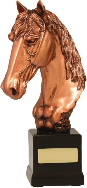 Bronze Horse Trophy 255mm