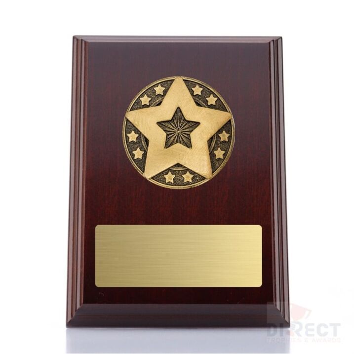 Spartan Five Star Award Plaque