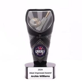 Viper Cricket Trophy