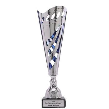 Stratus Silver Blue Cup