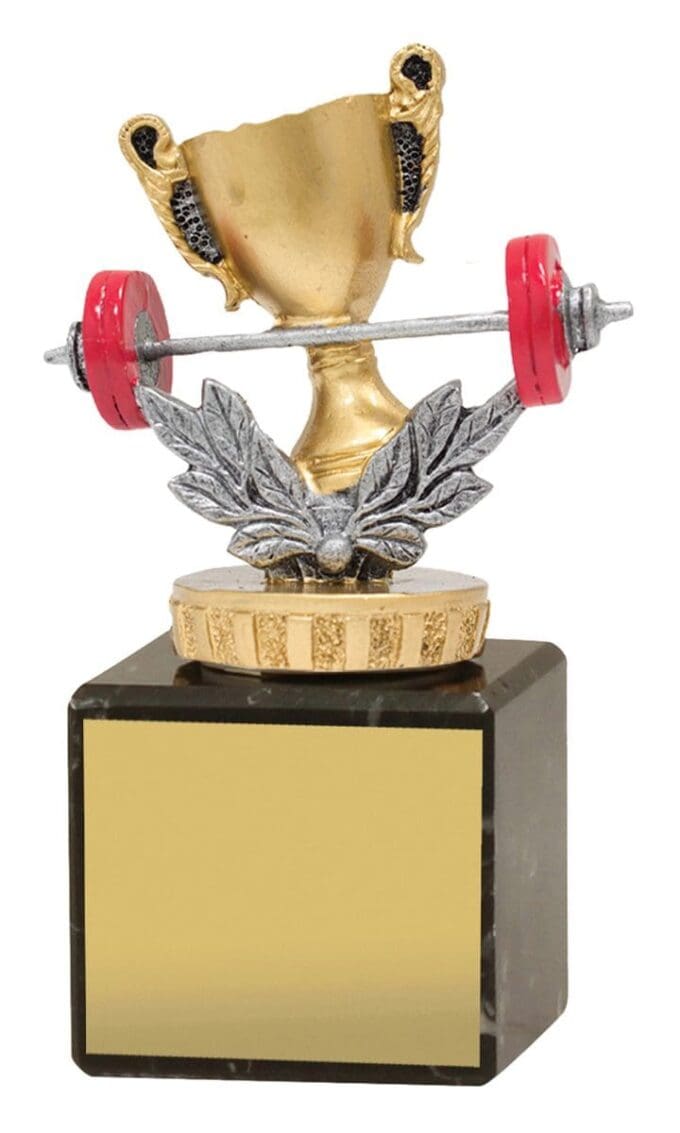 Gym Marble Trophy - Image 2