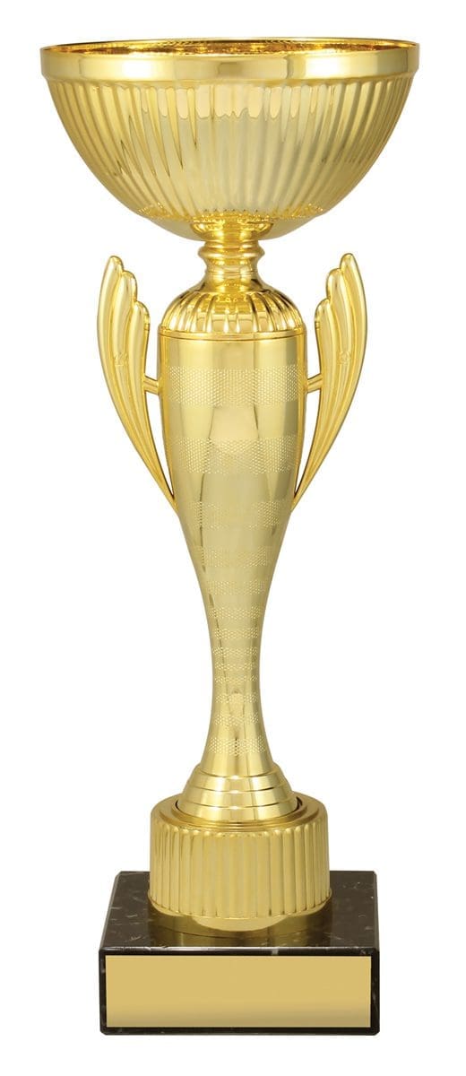 Ventinel Gold Cup - Image 3