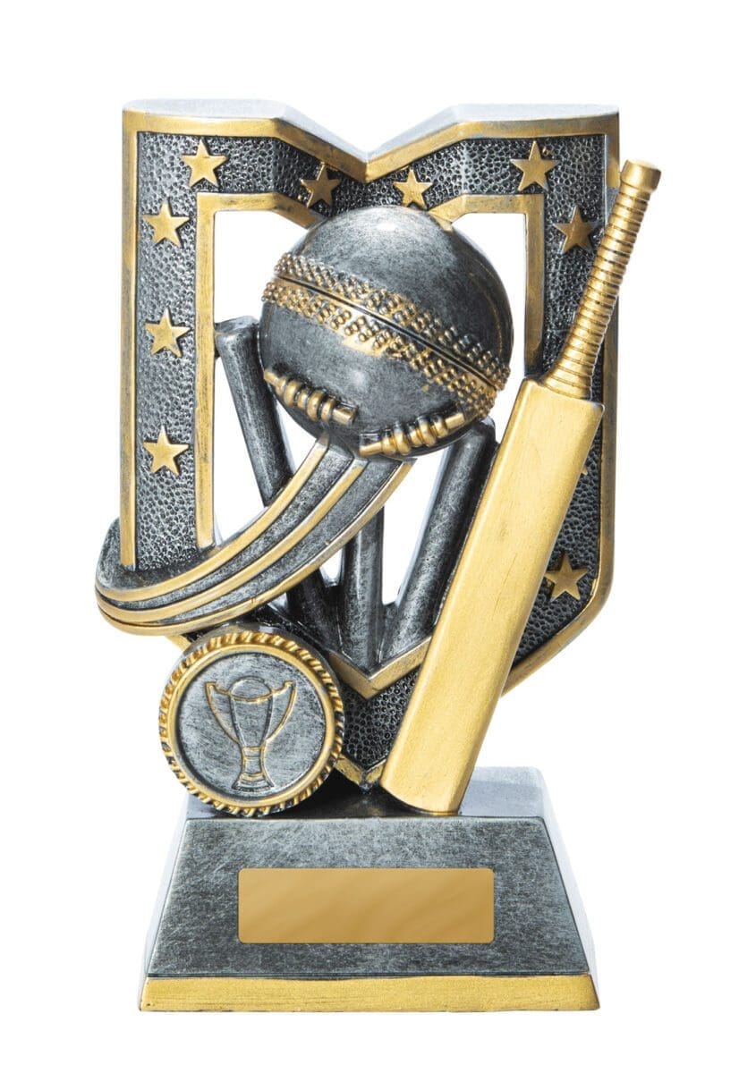 Aegis Series Cricket Trophy - Image 3