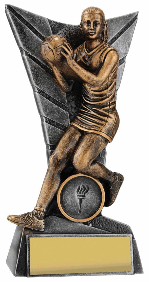 Netball Delta - Image 2