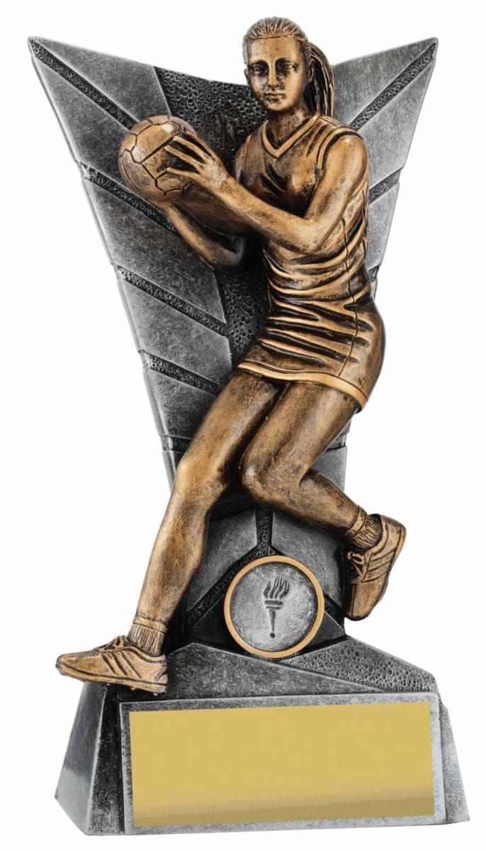 Netball Delta - Image 4