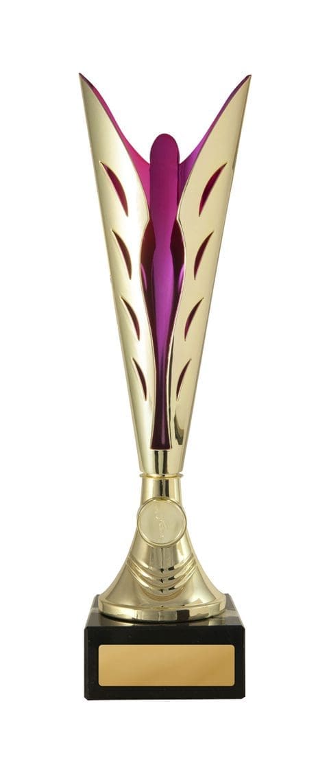 Silhouette Cup Gold Pink - Image 4