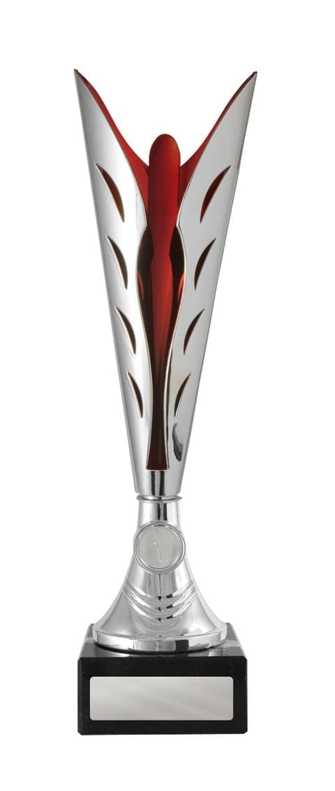 Silhouette Cup Silver Red - Image 4