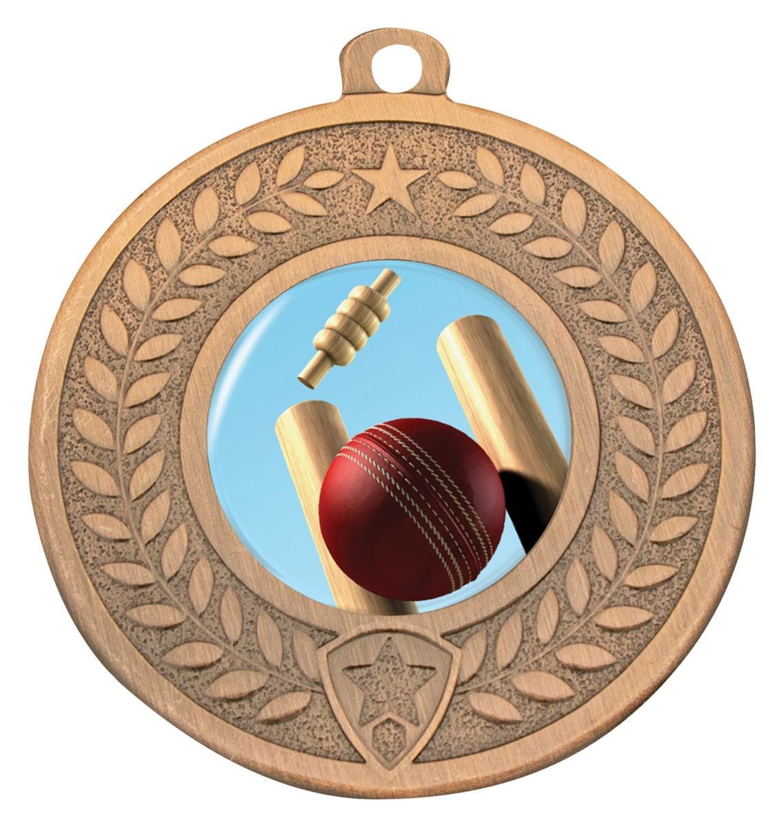 Distinction Cricket Theme Medal - Image 5
