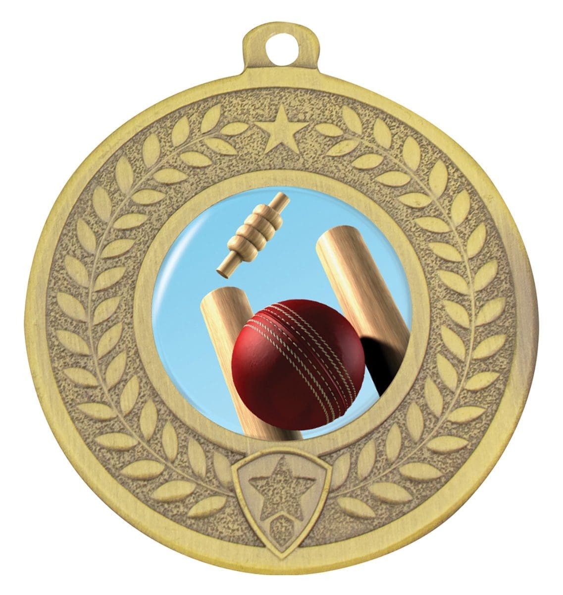 Distinction Cricket Theme Medal