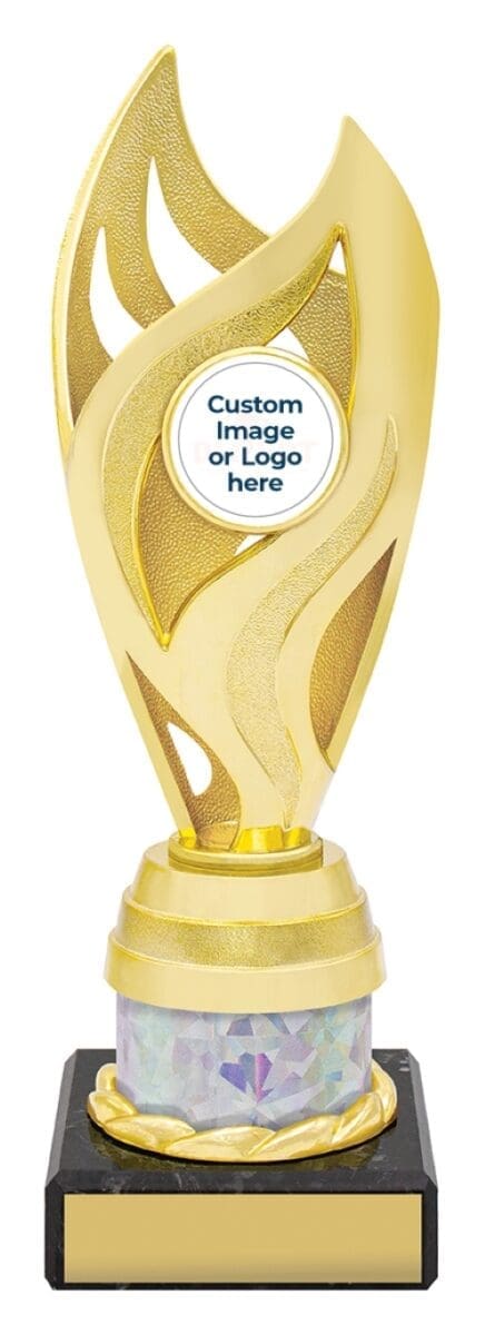 Oracle Gold Silver Trophy - Image 2