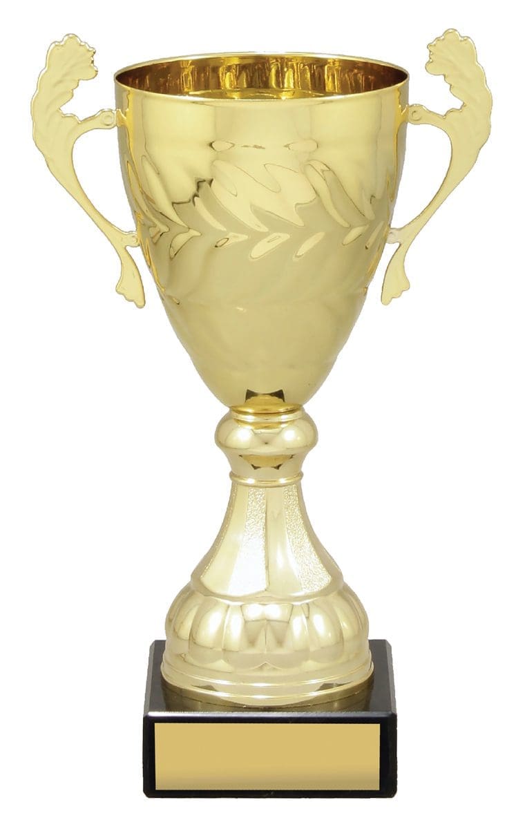 Engenia Gold Cup - Image 3