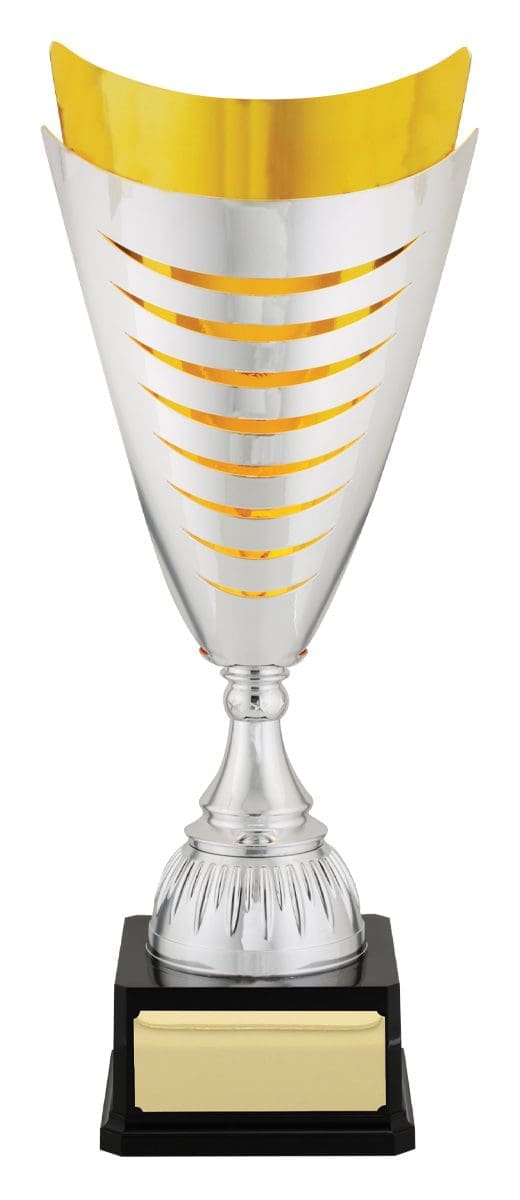 Herrous Silver Gold Cup - Image 2