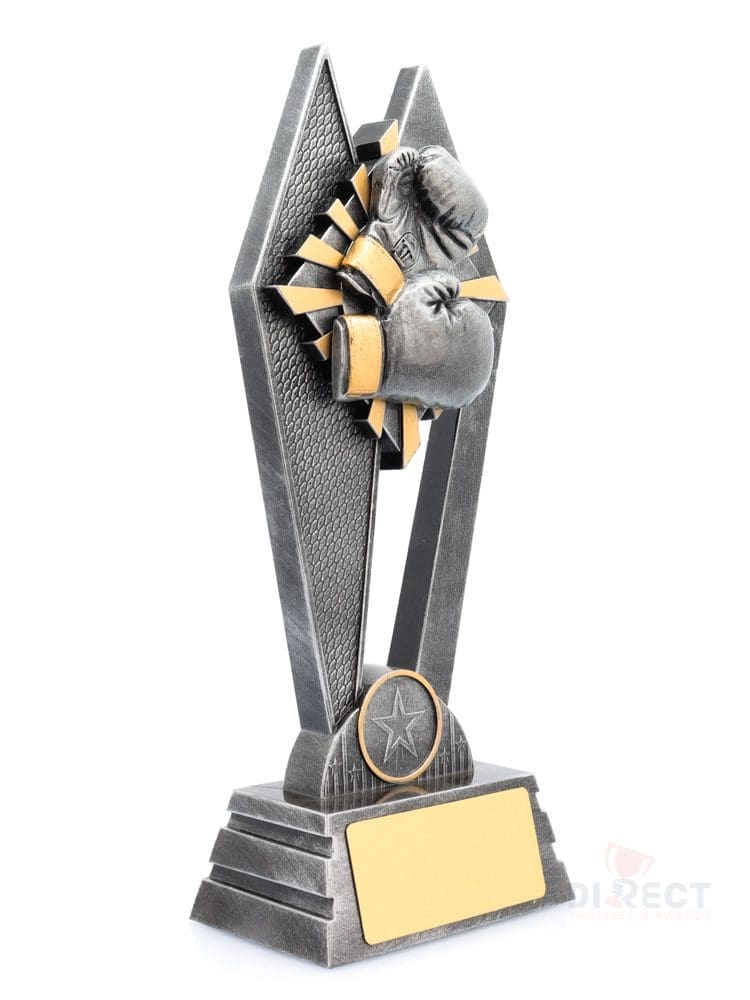 Peak Boxing - Image 8