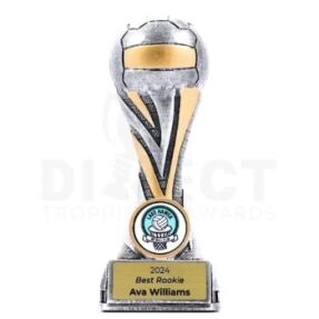 Orion Tower Netball Trophy