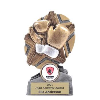 Surgestar Boxing Trophy