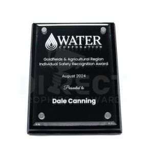 Acrylic Plaque Black Award