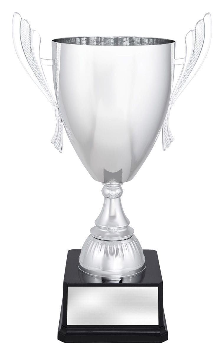 Ferroclad Silver Cup - Image 2