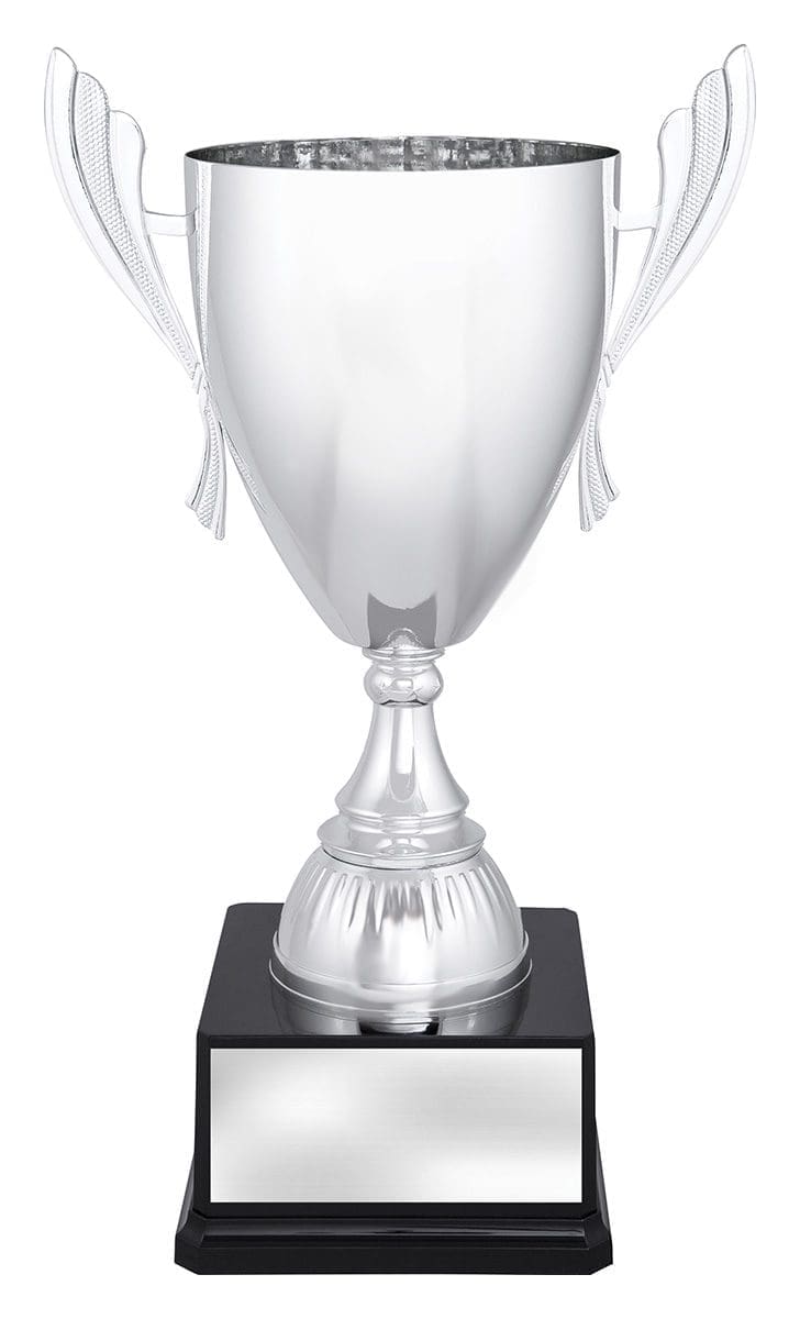 Ferroclad Silver Cup - Image 3