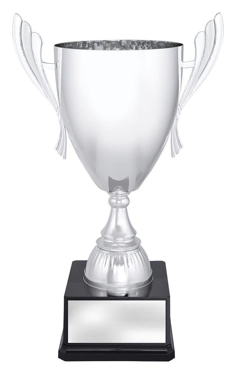 Ferroclad Silver Cup - Image 4