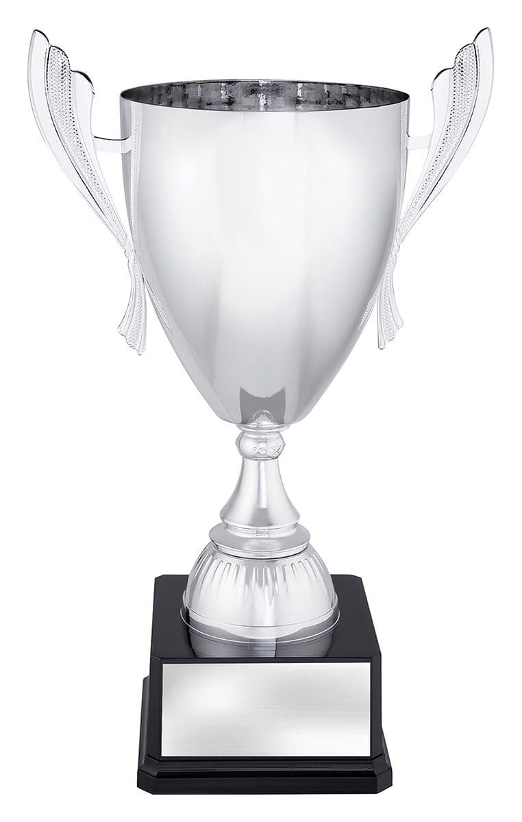 Ferroclad Silver Cup - Image 5