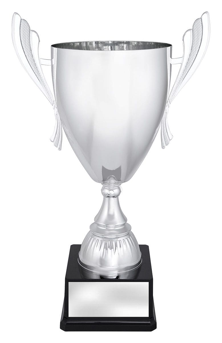 Ferroclad Silver Cup - Image 6