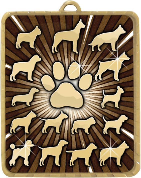 Lynx Medal Dog Pet