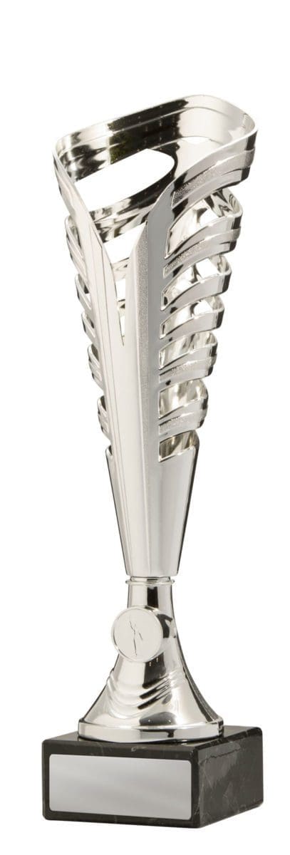 Cabrera Cup Silver - Image 5