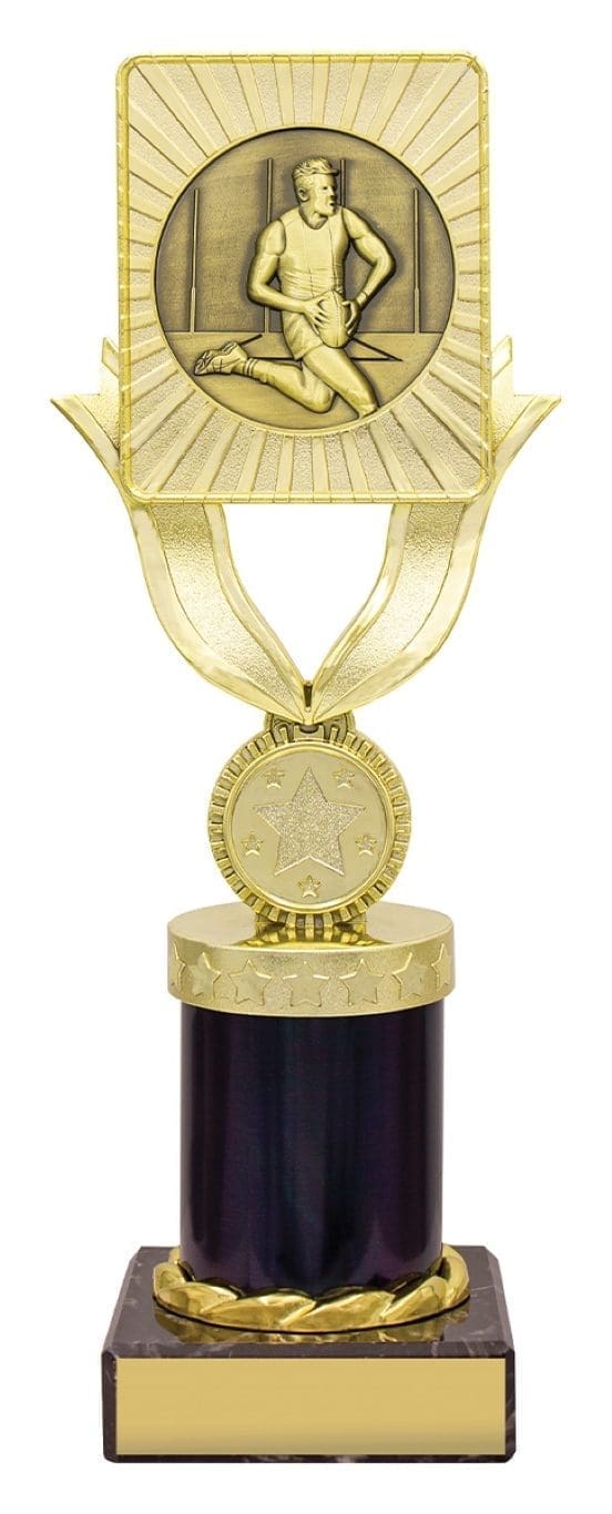 Steathcrest Aussie Rules Male Trophy - Image 3