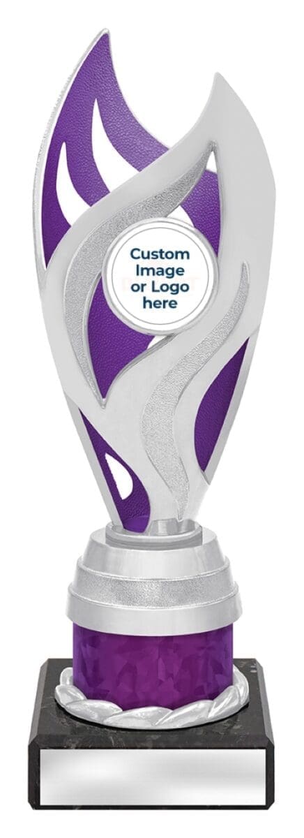 Oracle Silver Purple Trophy - Image 2