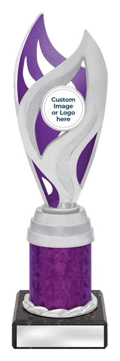 Oracle Silver Purple Trophy - Image 3