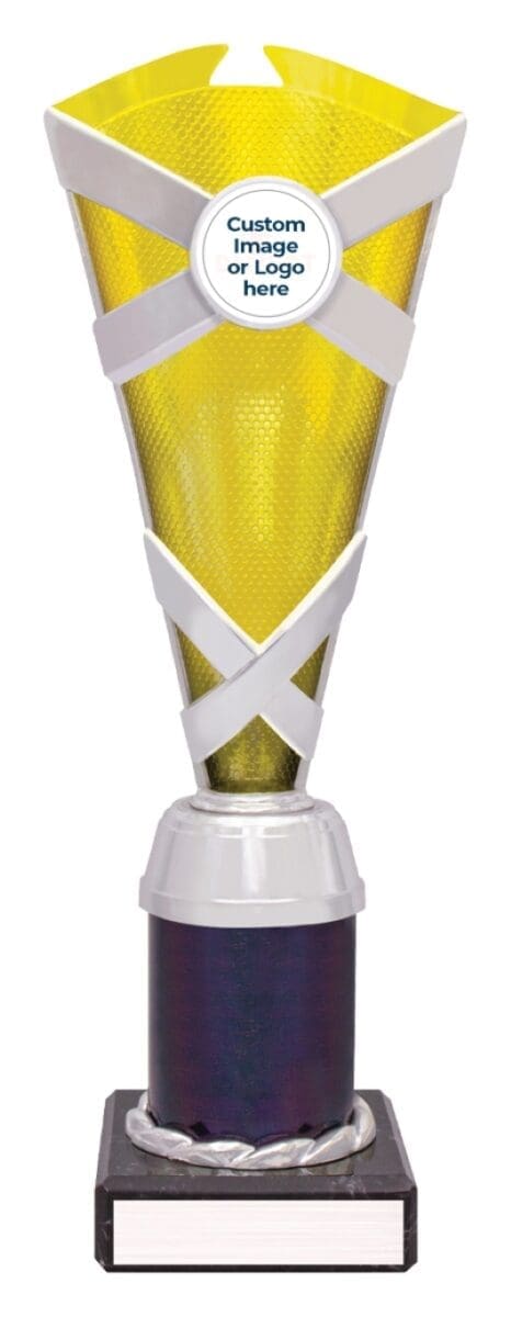 Specstar Gold Silver Cup Trophy - Image 3