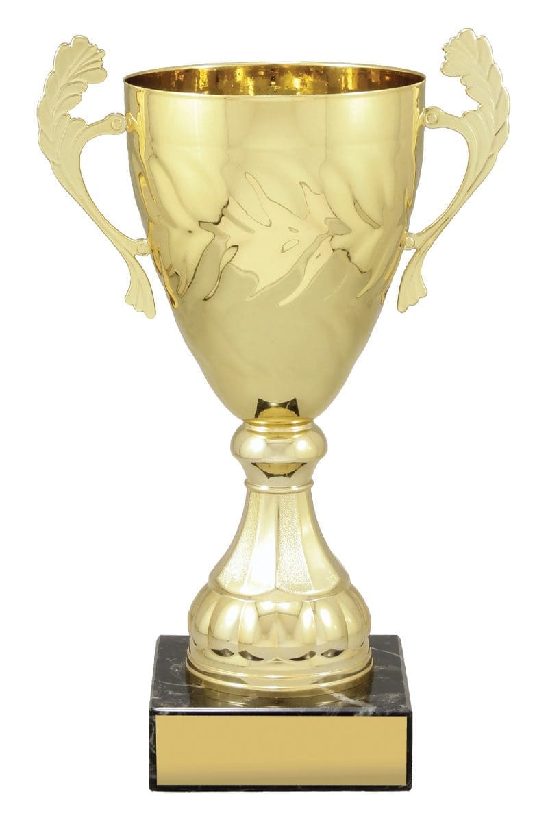 Engenia Gold Cup - Image 5