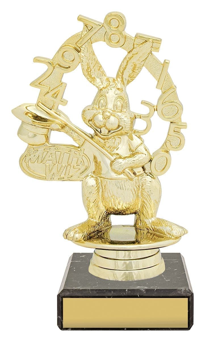 Maths Whiz Figure Trophy
