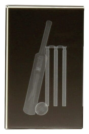 Cricket Crystal Block