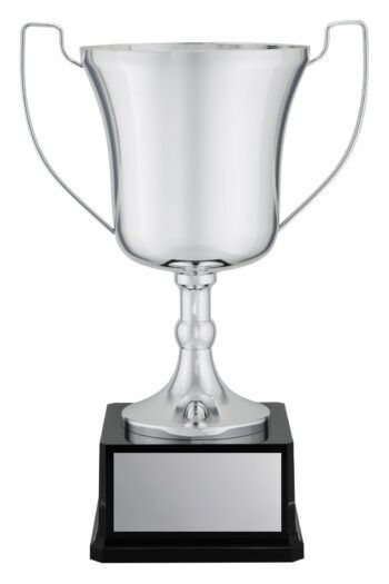 Viewpoint Premium Silver Cup