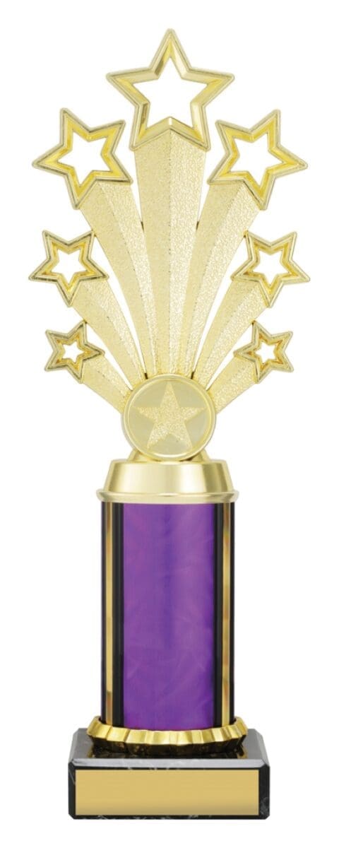 Twlightstar Purple Trophy - Image 2