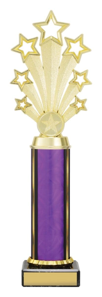 Twlightstar Purple Trophy - Image 4