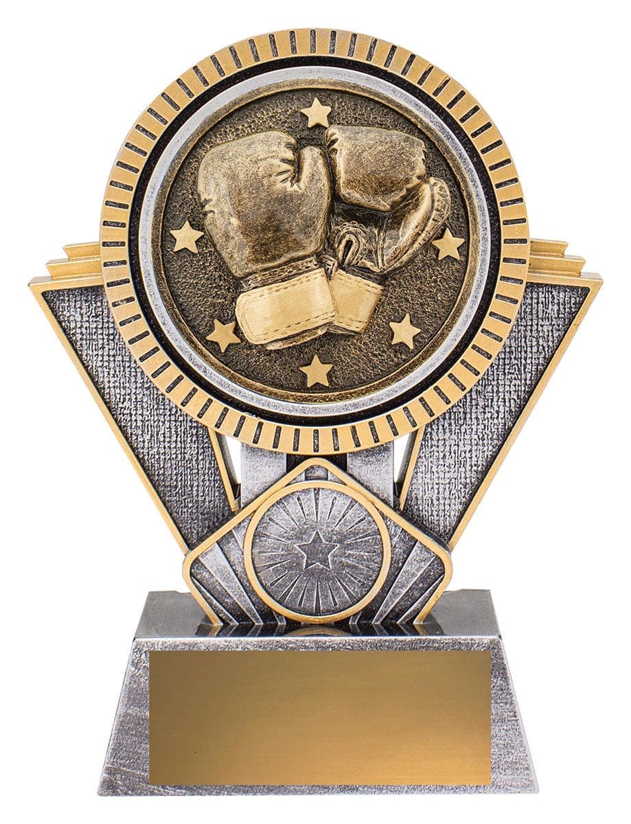 Spartan Boxing - Image 2