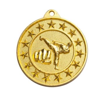 Five Star Martial Arts Medal