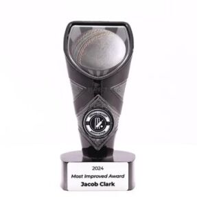 Viper Cricket Ball Trophy