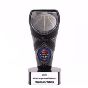 Viper Basketball Trophy