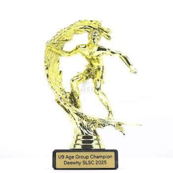 Surfing Figure Trophy