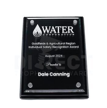 Acrylic Plaque Black Award
