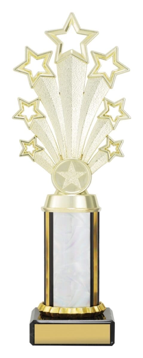 Twlightstar Silver Trophy - Image 2