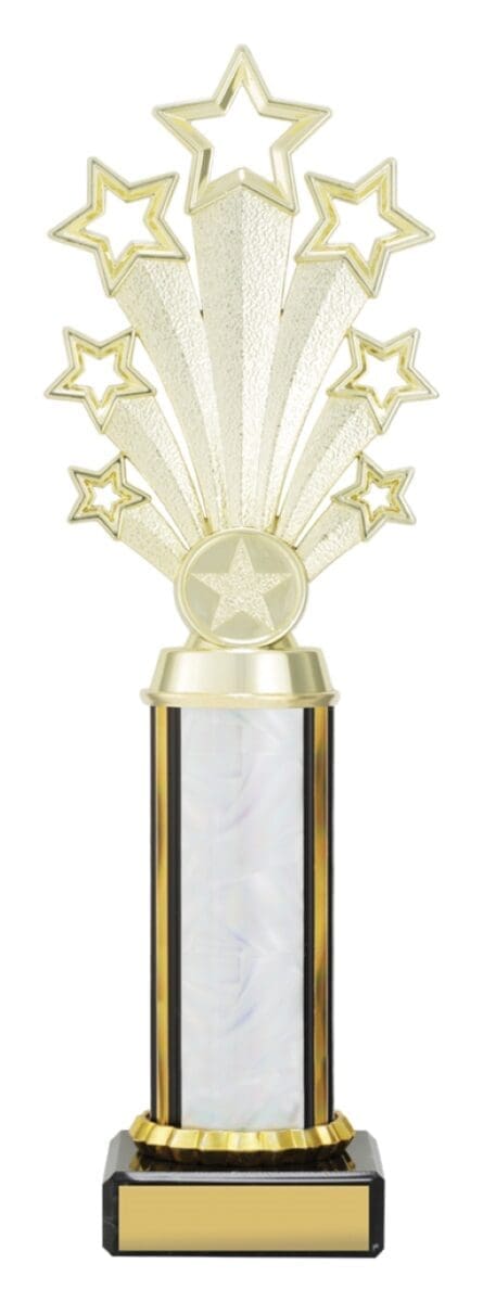 Twlightstar Silver Trophy - Image 3