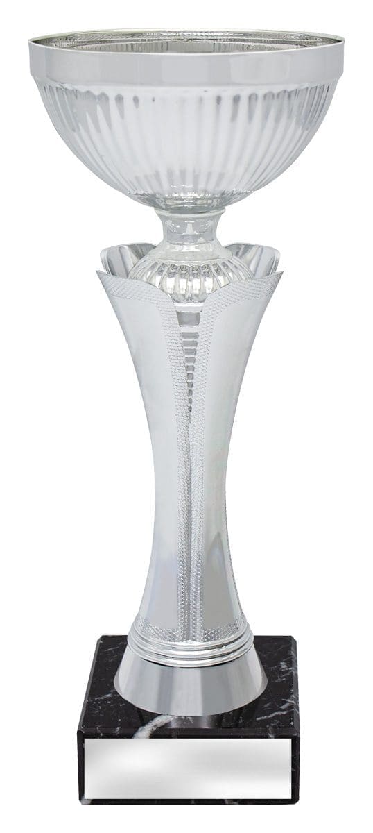 Velocity Silver Cup - Image 2