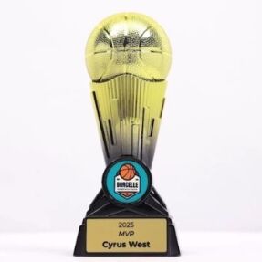 Zinvara Basketball Black Gold Trophy