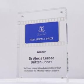 Acrylic Sabrix Colour Block Trophy