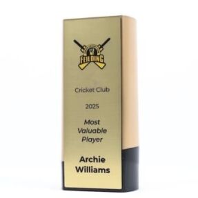 Elevon Cricket Trophy